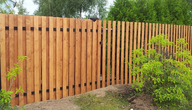 Забор для дачи