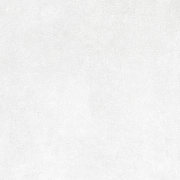 GT60601706MR Плитка грес глаз. Boreal_GT Светло-сер. 60*60 _ 1 \43,2                                                                                                                                    