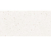 GT160VG Плитка облиц. Essen GT Св.беж. 30x60 _ 1\58,32                                                                                                                                                  