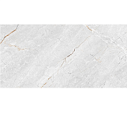 GT136VG Плитка облиц. Aventura GT Сер. 50*25 _ 1 \74,25                                                                                                                                                 